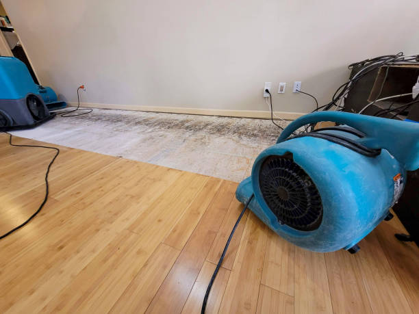 Professional Structural Drying technician working in Lincoln, IL